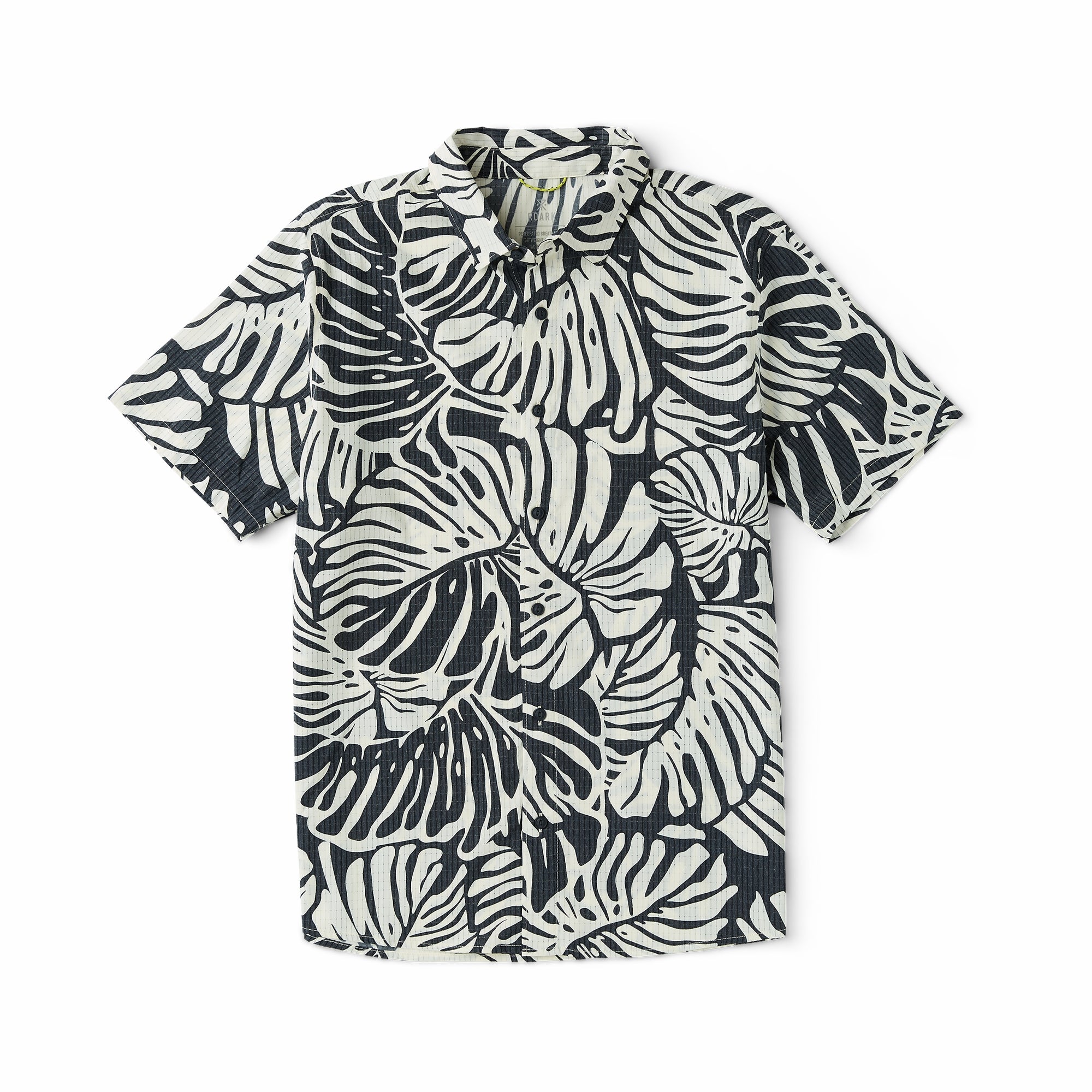 Black Monstera,XS