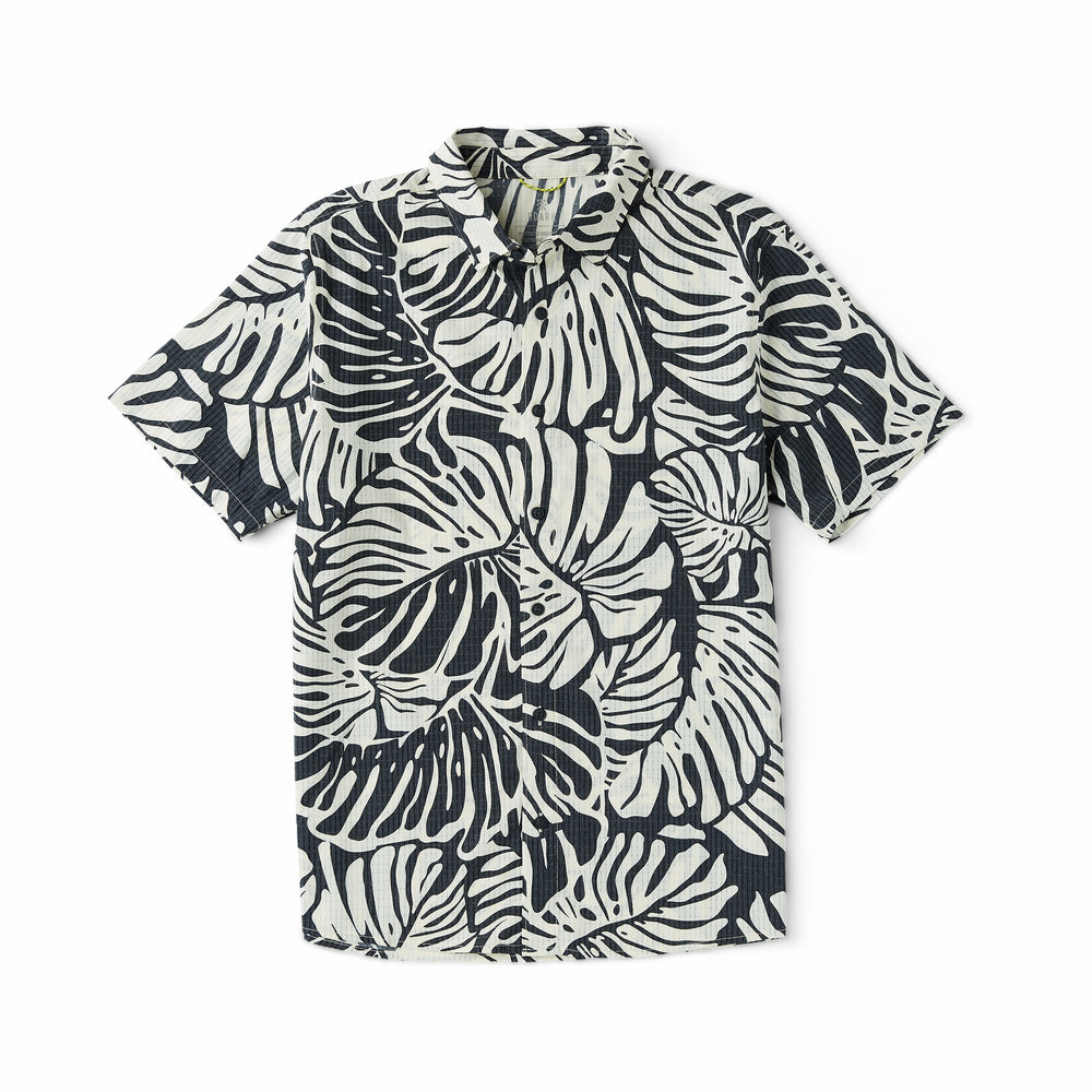 Black Monstera,XS