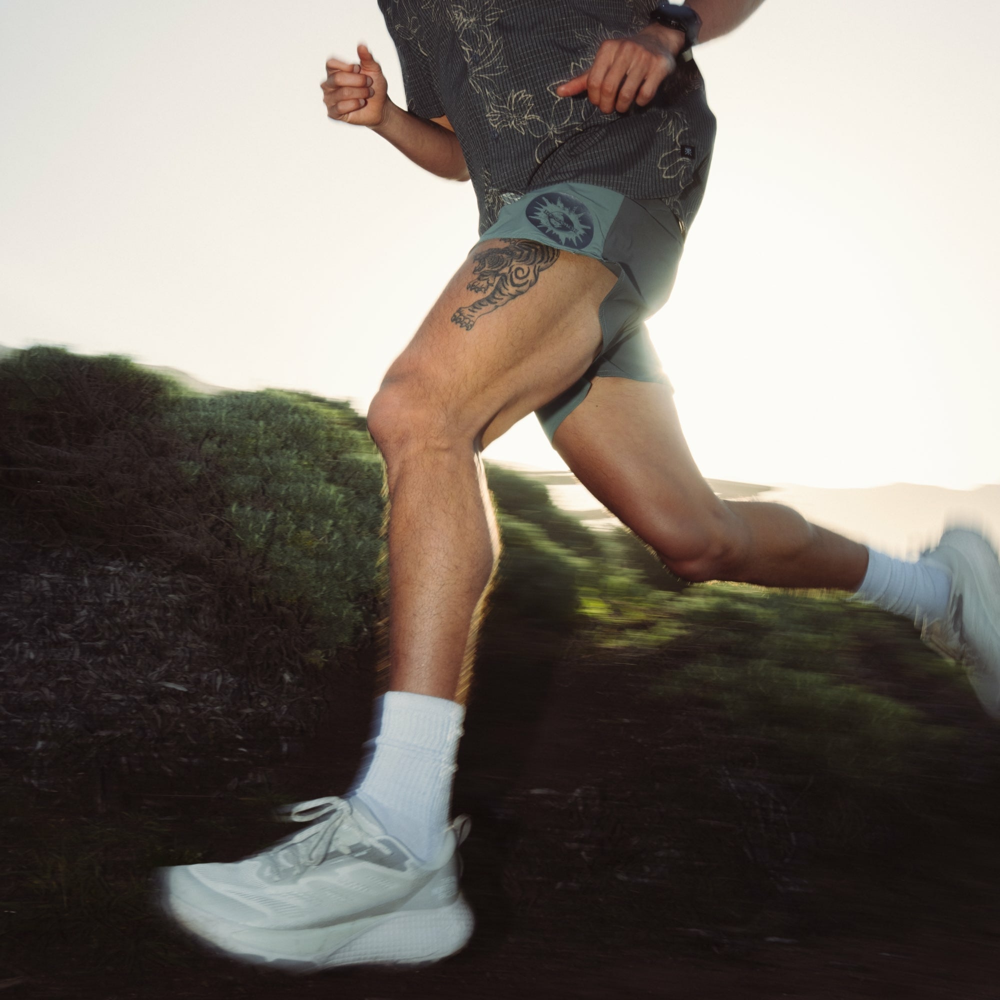 Alta 5" Shorts in Slate Green